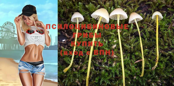 кокаин перу Михайлов